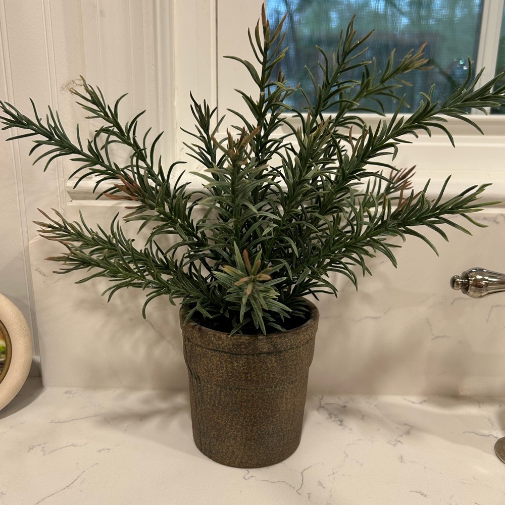 Target Faux Rosemary Plant in Brown Pot